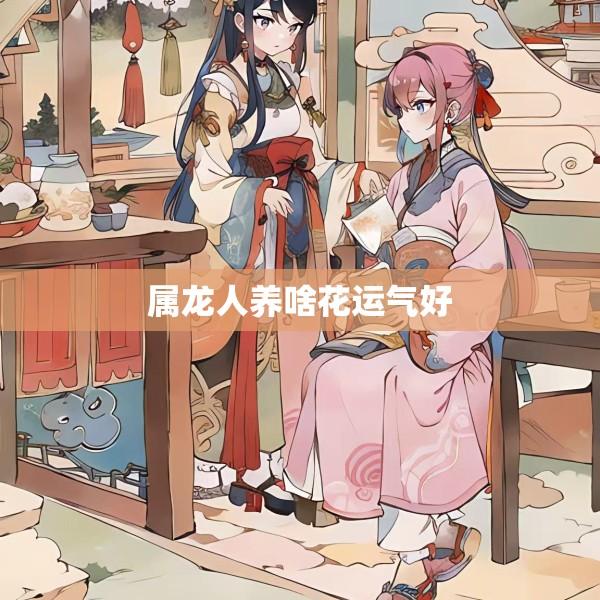 属龙人养啥花运气好