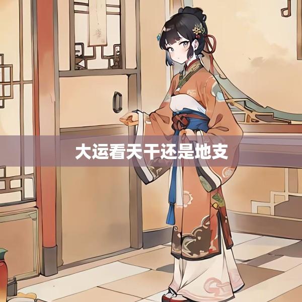 大运看天干还是地支
