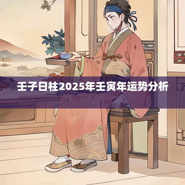 壬子日柱2025年壬寅年运势分析 