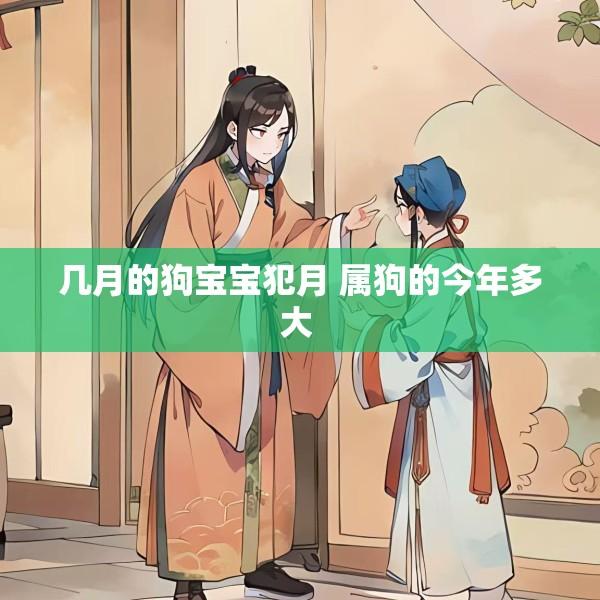 几月的狗宝宝犯月 属狗的今年多大 